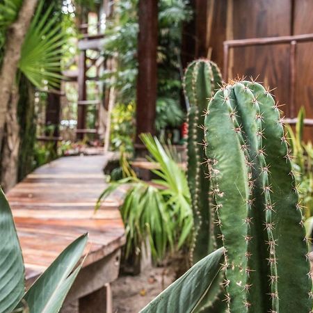 Origen Tulum Hotel ภายนอก รูปภาพ