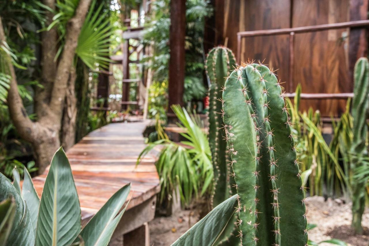 Origen Tulum Hotel ภายนอก รูปภาพ